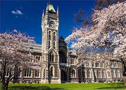 Lợi thế du học ngành Y tại New Zealand