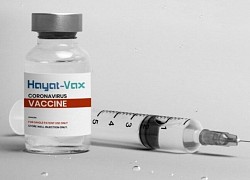 Một triệu liều vaccine từ UAE về Việt Nam