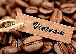 Giá cà phê hôm nay 4/9, Giá cà phê robusta củng cố đà tăng, thách thức vẫn bủa vây nhà cung cấp Việt Nam