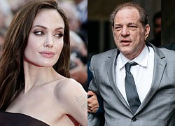 Harvey Weinstein phủ nhận tấn công Angelina Jolie