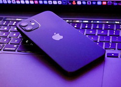 Làm thế nào để chặn Apple quét ảnh trên iPhone của bạn?