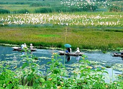 Vân Long - Khu bảo tồn thiên nhiên đất ngập nước lớn nhất vùng đồng bằng châu thổ sông Hồng