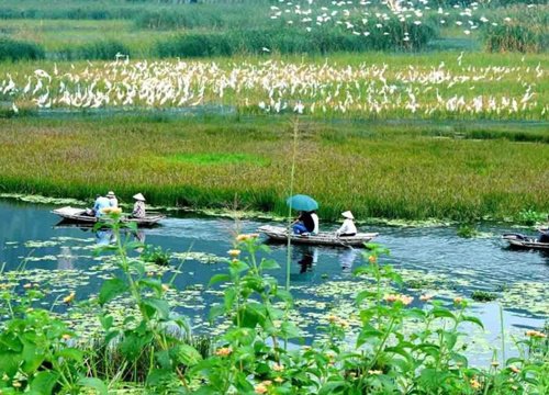 Vân Long - Khu bảo tồn thiên nhiên đất ngập nước lớn nhất vùng đồng bằng châu thổ sông Hồng