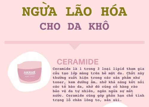 3 thành phần ngừa lão hóa cho da khô