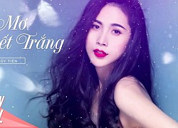 Bạn biết gì về Giấc Mơ Tuyết Trắng của Thuỷ Tiên?