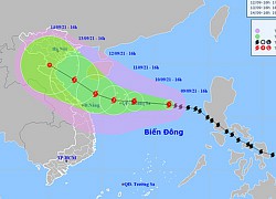 Bão số 5 ảnh hưởng từ Nam Định đến Đà Nẵng, xét nghiệm nhanh người tránh bão