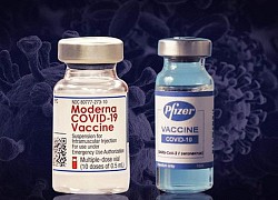 Cho phép tiêm trộn vaccine Moderna và Pfizer