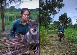 Cô gái từ bỏ 9 năm ở Sài Gòn để về quê làm vườn, tiết lộ ký ức về một Sài Gòn lạ lùng đến xa vời khiến nhiều người vừa thương lại cực đồng cảm