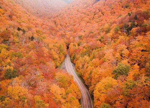 Du lịch Vermont, Mỹ đắm mình giữa thiên nhiên mùa thu