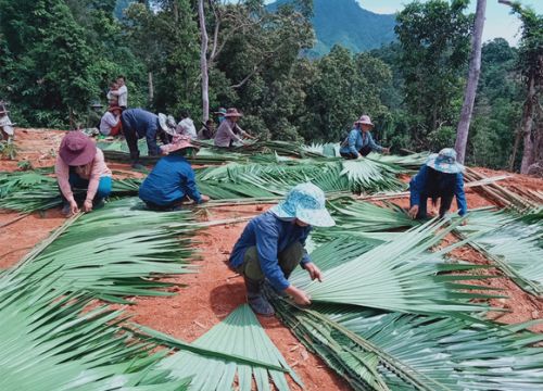 Dựng nhà tạm tre nứa cho người cách ly tập trung