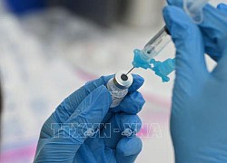 EMA đánh giá dữ liệu liên quan liều tiêm vaccine tăng cường