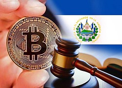 Giá Bitcoin lao dốc về dưới 45000 USD, tổng thống một quốc gia lập tức tranh thủ bắt đáy