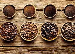 Giá cà phê hôm nay 8/9: Robusta tiếp tục vượt đỉnh cao, sẽ có làn sóng bán ra của nhà nông?