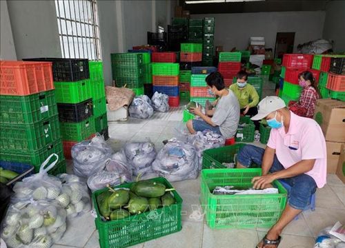 Hậu Giang nỗ lực tiêu thụ nông sản qua giao dịch điện tử