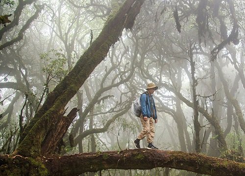 Khu rừng như trong 'cổ tích' tại ngay Việt Nam khiến nhóm đi rừng ngỡ ngàng - Đẹp như tranh vẽ!