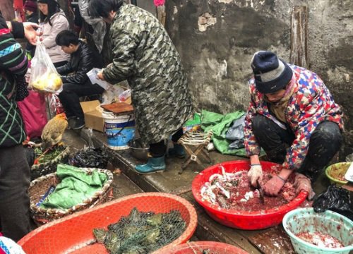 Nghiên cứu: Càng hiểu về COVID-19, càng ít tiêu thụ động vật hoang dã