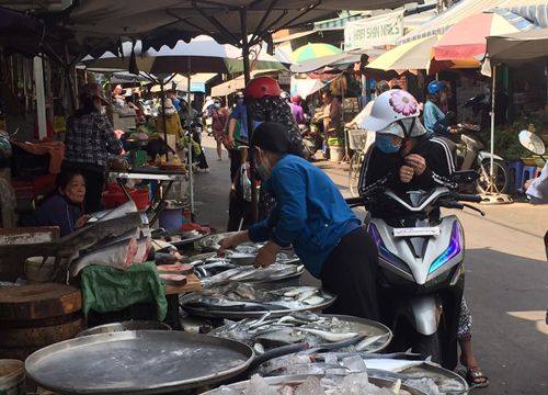 TP Hồ Chí Minh: Từ ngày 7/9, chợ Bình Điền sẽ mở điểm tập kết, trung chuyển hàng hóa trở lại