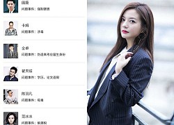 Triệu Vy không lọt top sao có vết nhơ đạo đức nhưng vẫn bị phong sát ngầm?