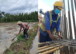 Bà Rịa-Vũng Tàu: Những ngành nghề, dịch vụ được hoạt động tại huyện vùng xanh sau 15.9