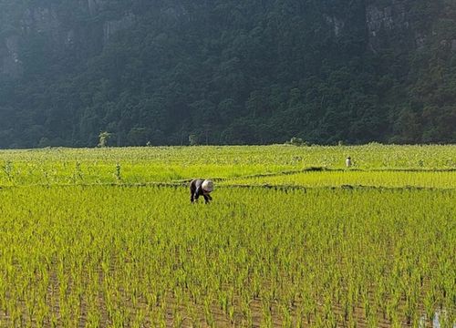 Buộc cán bộ xã trả lại tiền người dân "tự nguyện hỗ trợ"