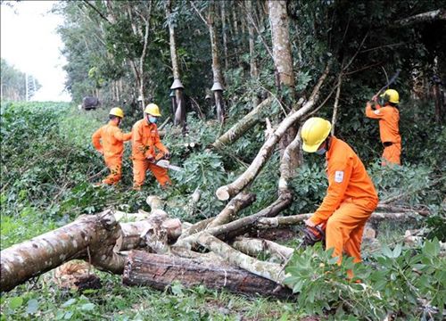 Các địa phương khẩn trương triển khai biện pháp ứng phó bão số 5 nhằm giảm thiểu thiệt hại