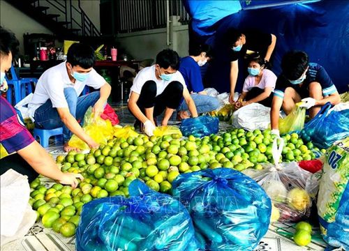 Cần Thơ triển khai nhiều giải pháp hỗ trợ sản xuất và tiêu thụ nông, thủy sản