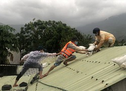 Đà Nẵng: Mưa như trút nước, 60.000 người dân hối hả sơ tán trước giờ bão vào