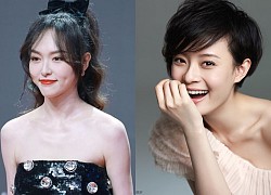 Đường Yên, Tôn Lệ phải đi học lớp cải tạo đạo đức mới được "kiếm cơm" Cbiz