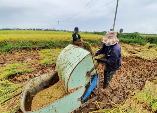 Ngư dân vào tránh bão được cách ly, xét nghiệm Covid-19