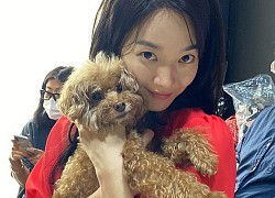 Shin Min Ah được mệnh danh 'mỹ nhân không tuổi' nhờ 5 bí kíp không khó thực hiện