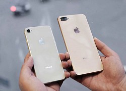 5 mẫu iPhone chớ dại mà "xuống tiền" thời gian này, nếu không muốn phải tiếc hùi hụi khi iPhone 13 ra mắt