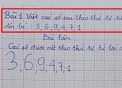 Bài làm của học trò khiến giáo viên 'hoang mang'