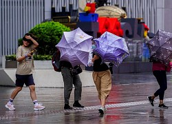 Bão Chanthu: Trung Quốc sơ tán hàng chục ngàn người, hủy hàng trăm chuyến bay