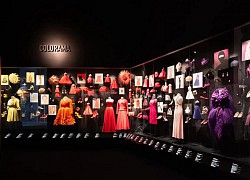 Bên trong triển lãm 'Christian Dior: Nhà thiết kế của những giấc mơ'