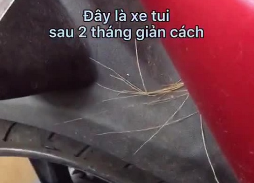 Cô gái kiểm tra xe máy sau 2 tháng giãn cách, phát hiện bên trong có nhiều vật thể lạ và một "đại gia đình" đang ẩn nấp