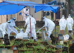 Chuyên gia: Virus Nipah có thể trở thành mối đe dọa toàn cầu như Covid-19