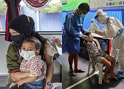 COVID-19 tại ASEAN hết 13/9: Toàn khối trên 11 triệu ca bệnh; Indonesia nhận thêm 9,5 triệu liều vaccine Sinovac