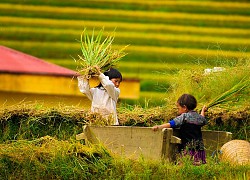 Lạng Sơn: Phấn đấu đến năm 2025 không có trẻ em và người chưa thành niên lao động trái quy định của pháp luật