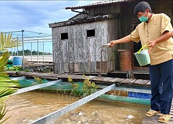 Lão nông thành công với mô hình nuôi cá lồng bè kết hợp du lịch