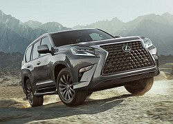 Lexus GX sắp nâng cấp: Có bản GX 550, dùng động cơ của Toyota Land Cruiser