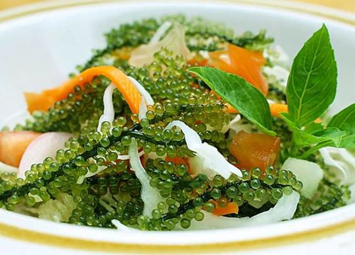 Món salad rong nho ngon lạ miệng lại bổ dưỡng