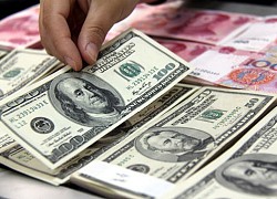 Tỷ giá USD, Euro ngày 15/9: USD trồi sụt không định hướng