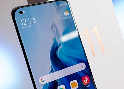 Xiaomi 11T lộ thiết kế và thông số kỹ thuật