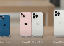 Apple khoe ảnh chi tiết 4 mẫu iPhone 13 vừa ra mắt