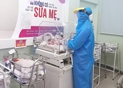 'Bảo mẫu' của những bé sơ sinh bất đắc dĩ tách mẹ