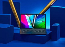 Cách laptop ASUS VivoBook OLED làm hài lòng các bạn sinh viên mọi khối ngành