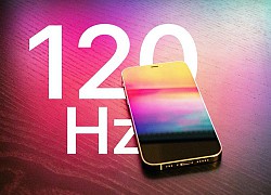 Chào mừng đến với CLB 120Hz, mời iPhone 13 Pro gặp mặt những "đàn anh" Android đã đi trước