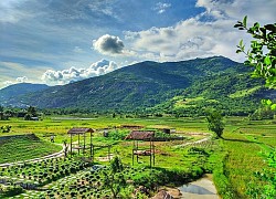 'Check in' cháy máy tại phim trường Du Long Ninh Thuận