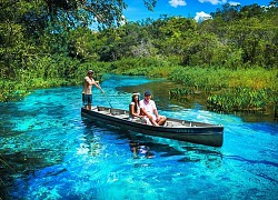 Du lịch Pantanal - vùng đất ngập nước lớn nhất thế giới ở Nam Mỹ