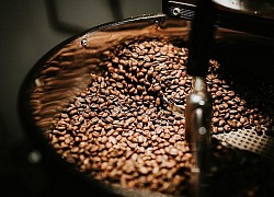 Giá cà phê hôm nay 17/9: Giá robusta vượt 2.100 USD/tấn, triển vọng tăng vẫn còn sáng?